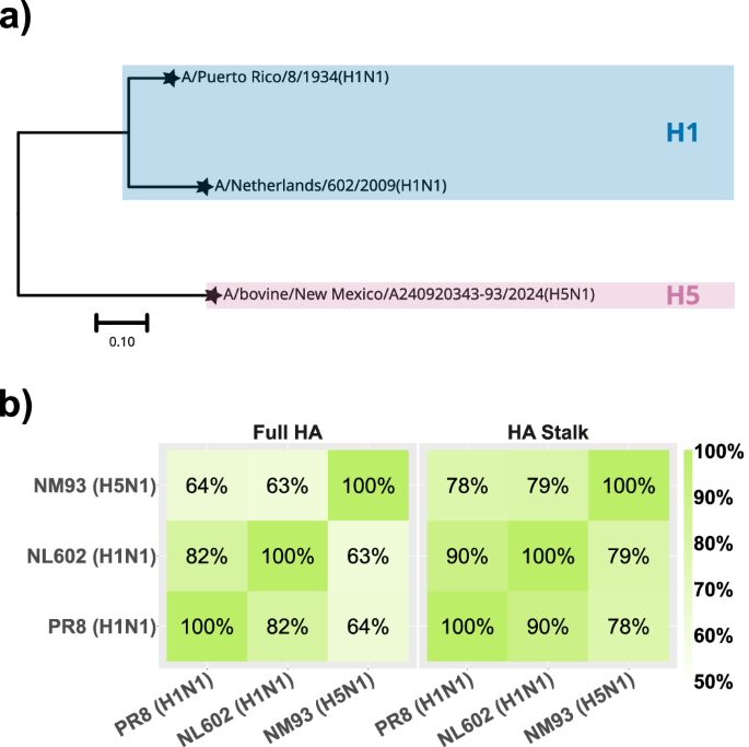 Inverted H1 hemagglutinin nanoparticle vaccines protect mice against challenges with human H1N1 and bovine H5N1 influenza viruses