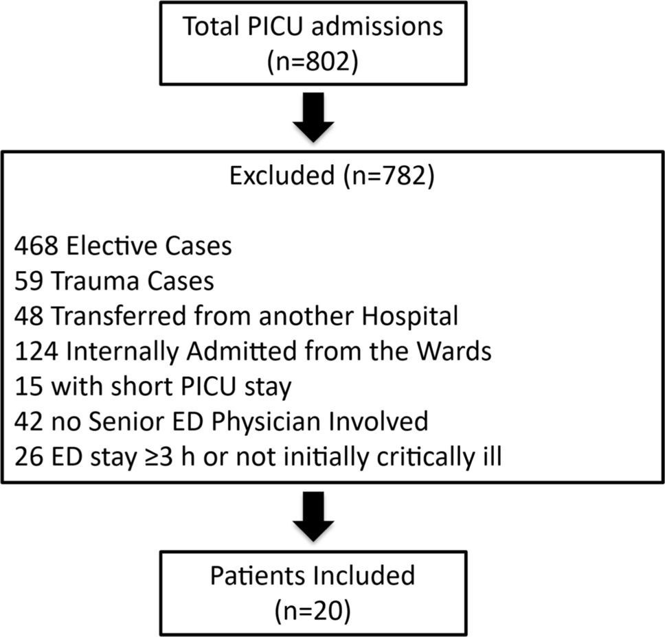 Large language model as a clinical decision support tool in the initial management of critically ill children: a pilot evaluation
