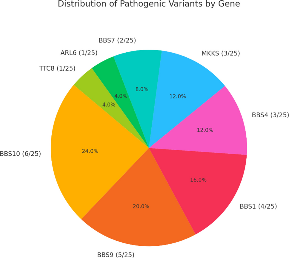 Comprehensive clinical and genetic characterization of Bardet-Biedl Syndrome: insights from the largest Turkish cohort