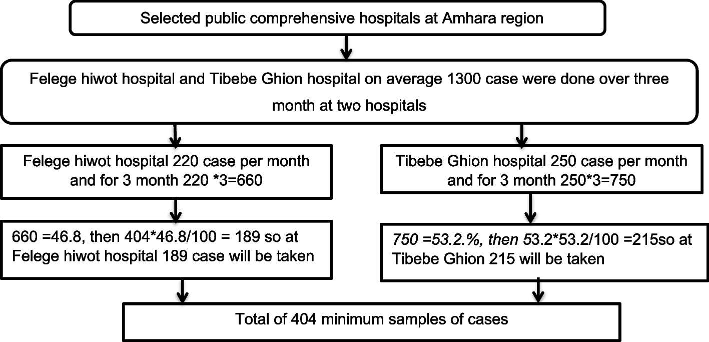 Prevalence and severity of preoperative anemia, and associated factors among orthopedic patients at public comprehensive referral hospitals, Northwest Ethiopia 2024: multi- center cross-sectional study