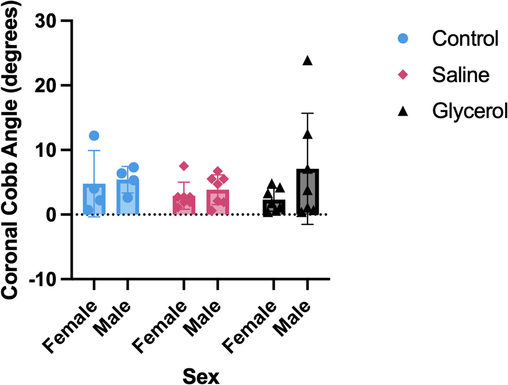 Unilateral lumbar paraspinal muscle degeneration is not sufficient to drive spinal deformity in mice