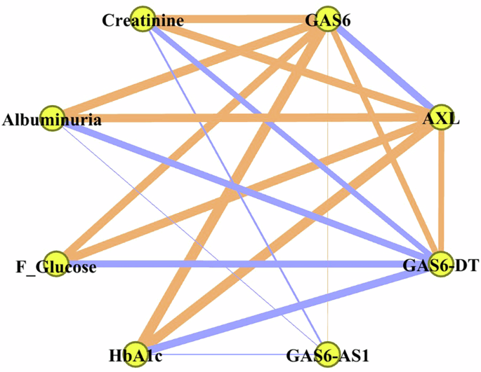 Association of GAS6, AXL, and GAS6-AS lncRNAs with nephropathy in Egyptian patients with type 2 diabetes mellitus: a case–control observational study
