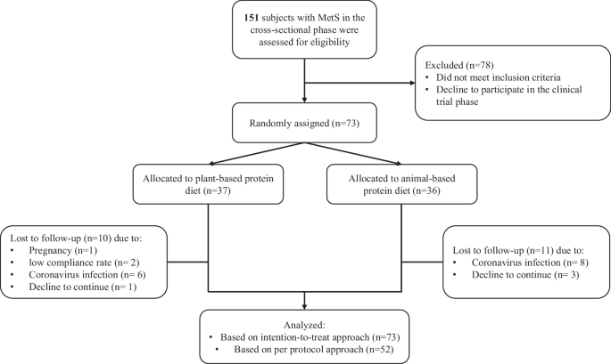 Does partial replacement of animal protein with plant protein in the diet affect components of metabolic syndrome, adropin levels, and the atherogenic index of plasma? Results from a parallel randomized clinical trial in adults with metabolic syndrome