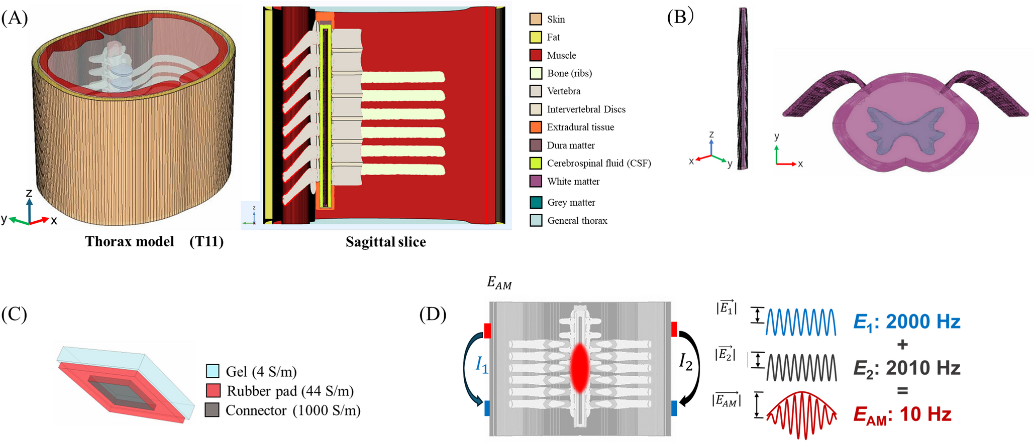 Transcutaneous interference spinal cord stimulation: leadfield-based pareto optimization of electrode montages for improved focality