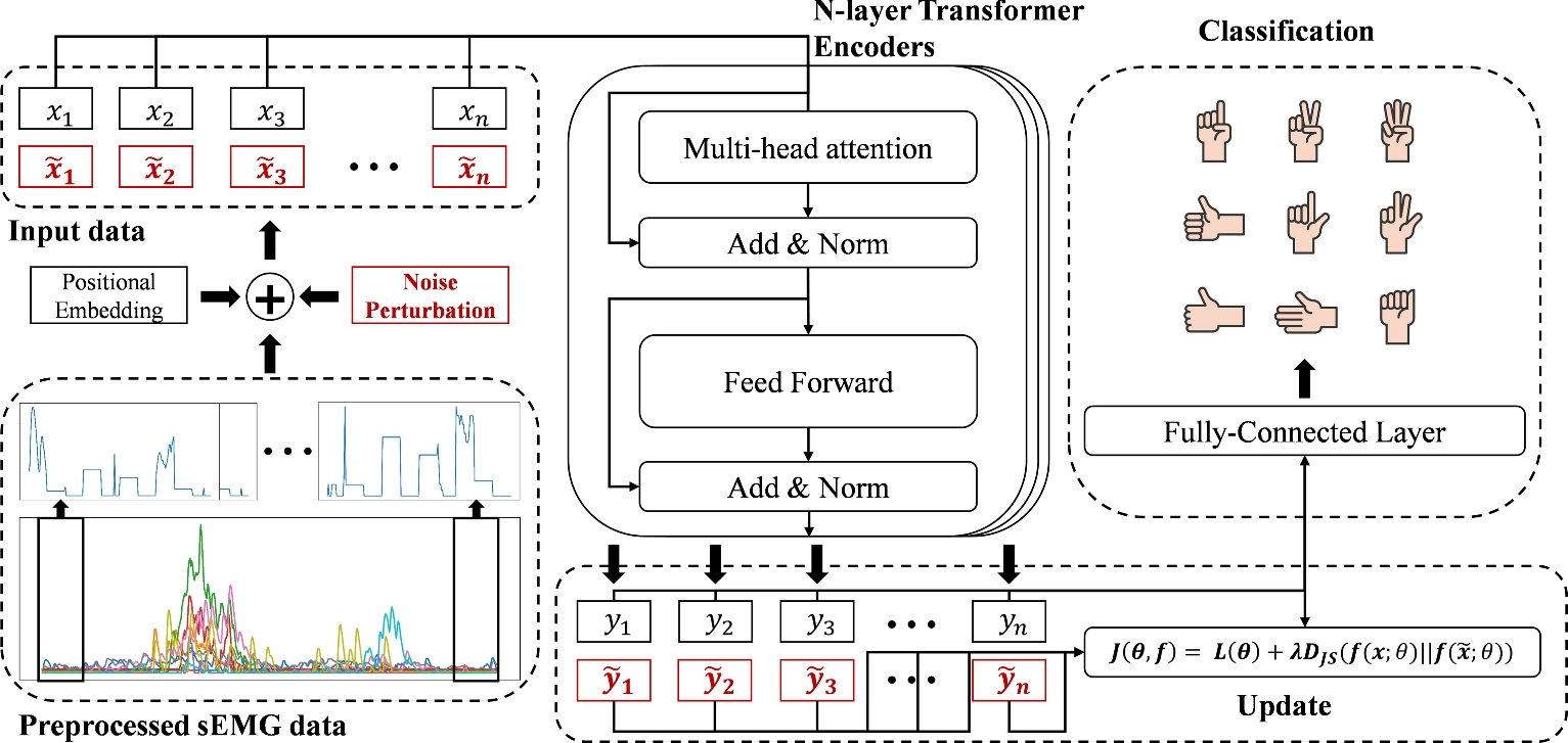 Adversarially regularized transformer with channel-wise noise for robust hand gesture recognition using surface electromyography