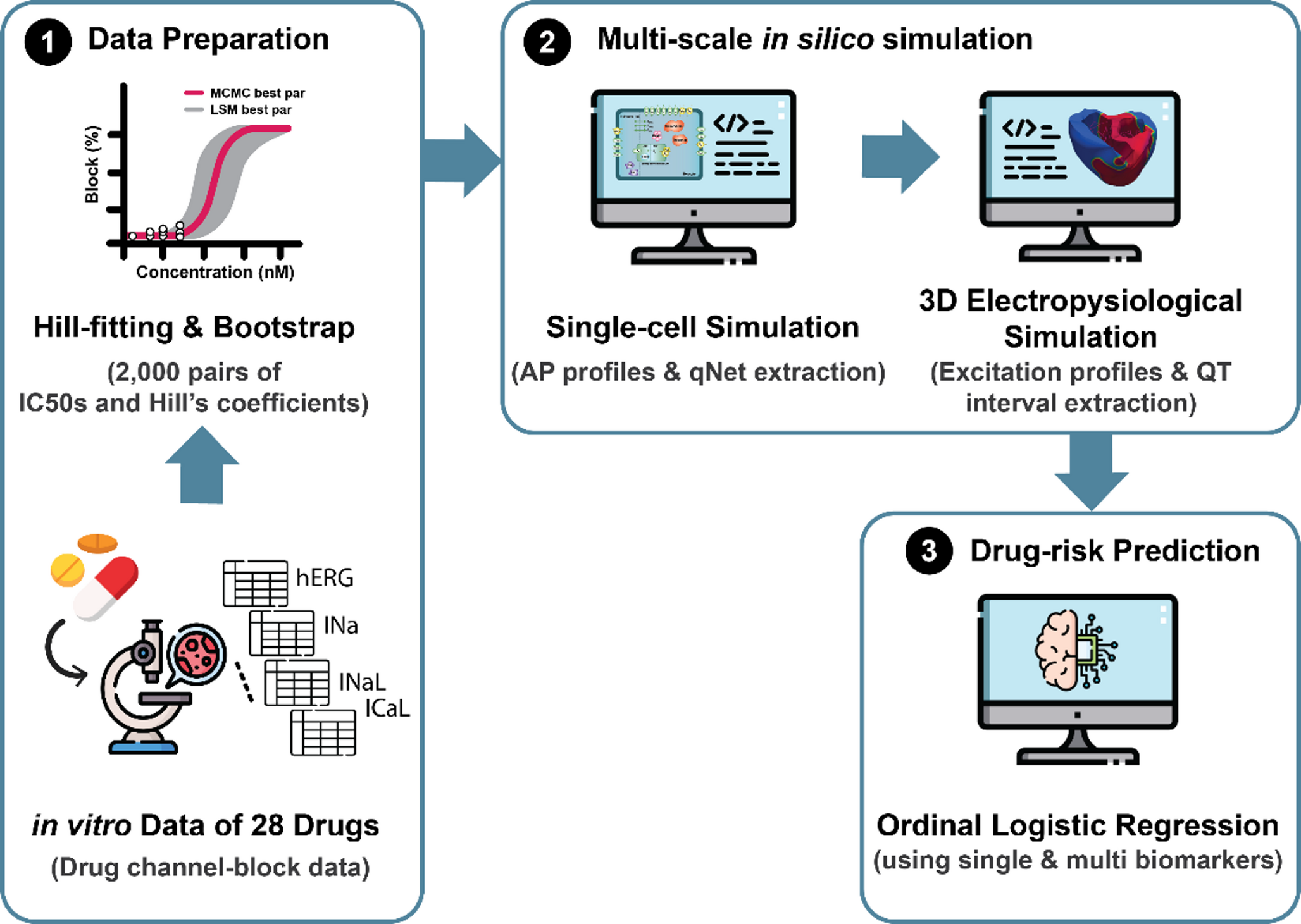 A multiscale computational model of cardiac electrophysiology for drug-induced pro-arrhythmic risk stratification
