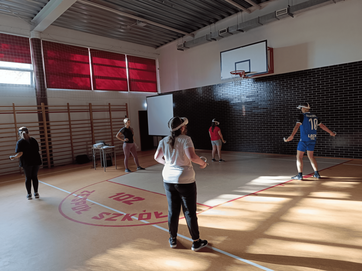 Achieving Gameplay Independence in Virtual Reality Exergames for Individuals With Mild Intellectual Disabilities: Pilot Study