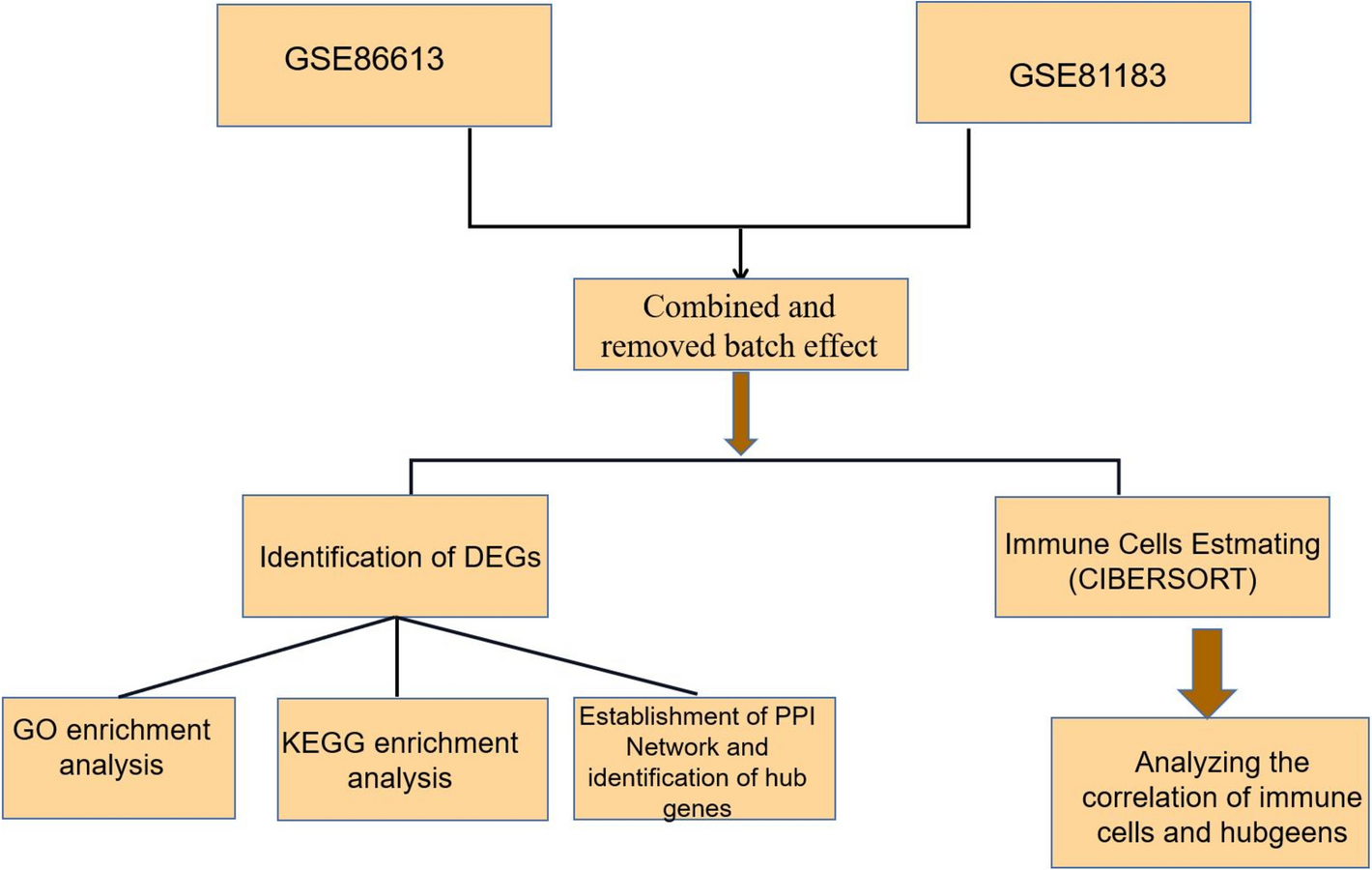 Evaluation of the molecular mechanisms of histological transformation in follicular lymphoma via bioinformatics analysis