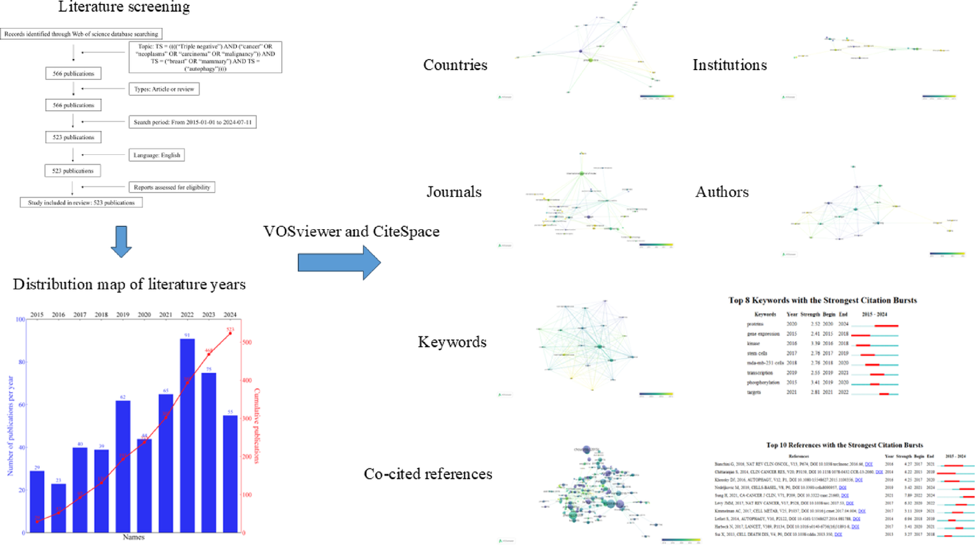 Global research status and frontiers on autophagy in triple negative breast cancer (TNBC): a comprehensive bibliometric and visualized analysis