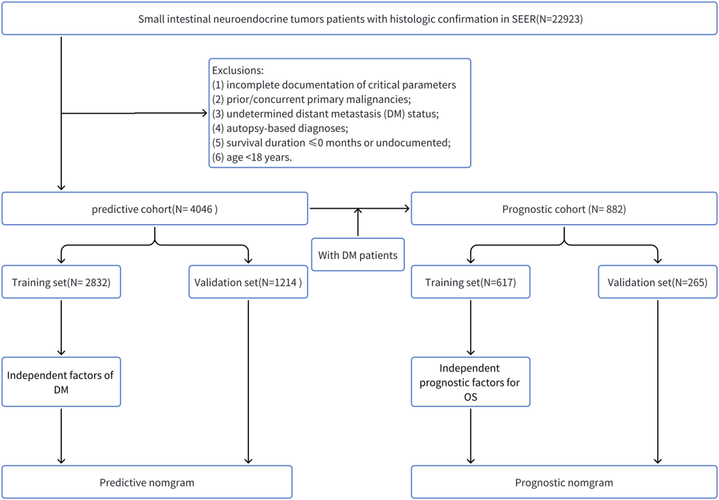 Development and validation of nomograms for distant metastasis and prognosis of small intestinal neuroendocrine tumors