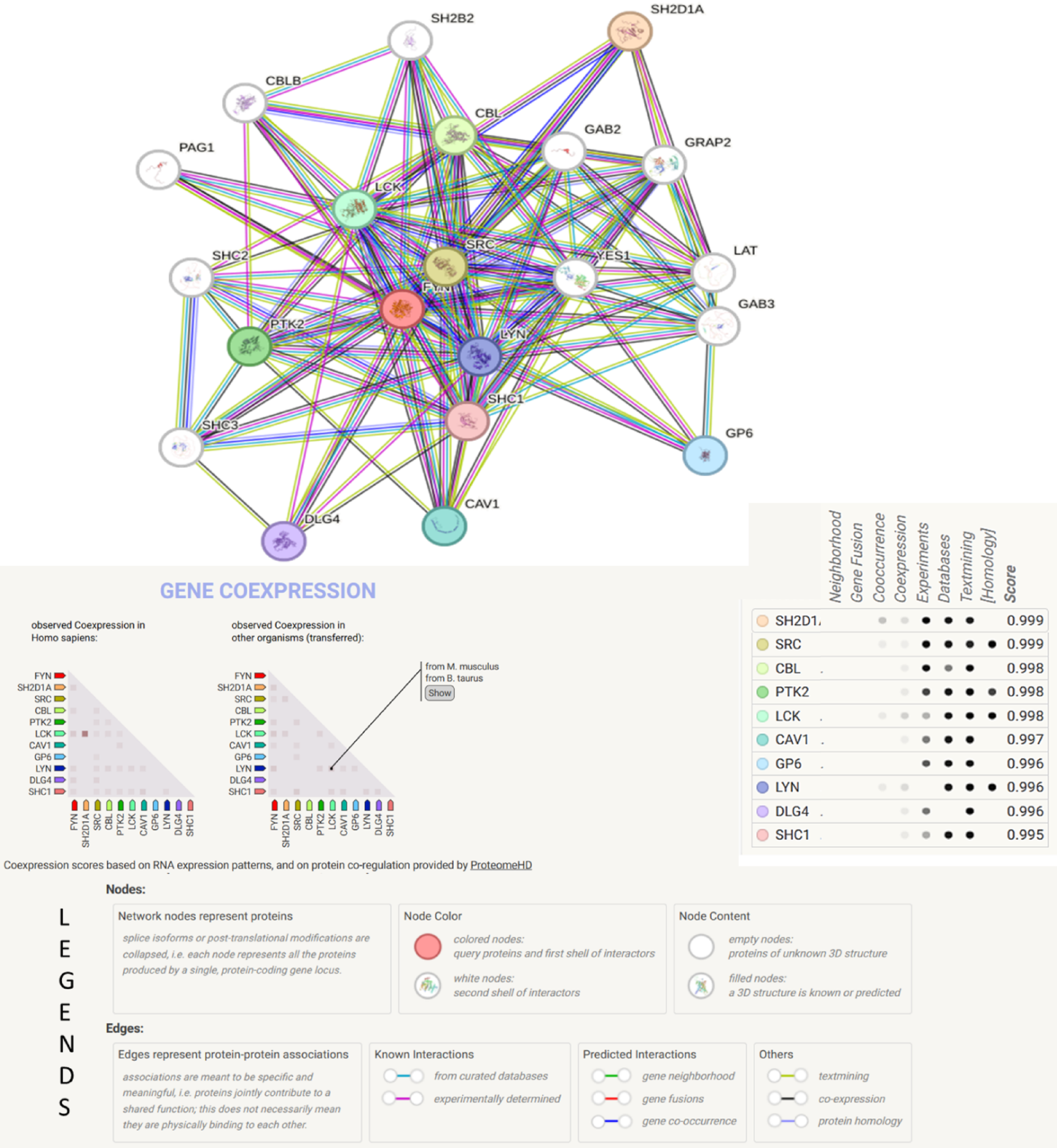 Structure-based identification and experimental evaluation of Oroxin A as a FYN kinase inhibitor