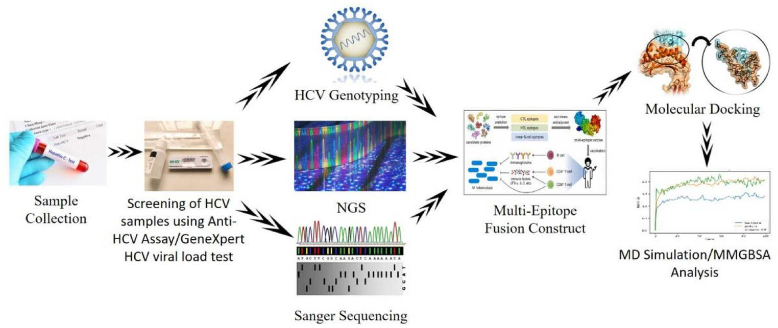 HCV genotyping and rational computational designing of an immunogenic multiepitope vaccine against genotype 3a