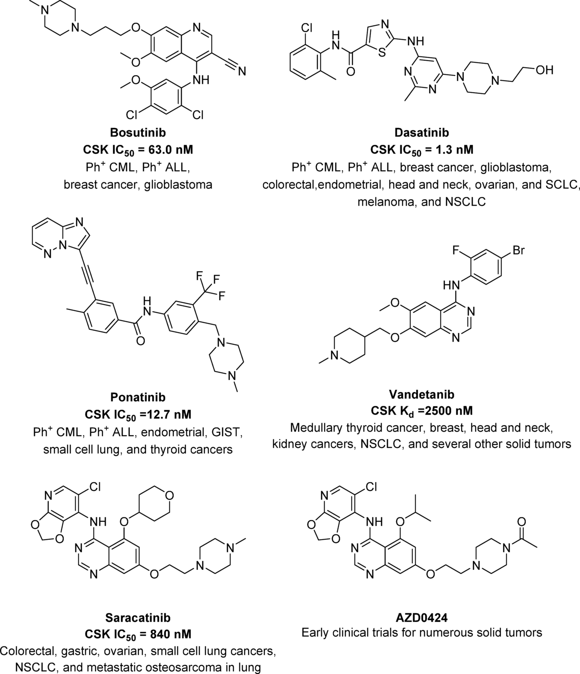 Synergistic approach utilizing bioinformatics, machine learning, and traditional screening for the identification of novel CSK inhibitors targeting hepatocellular carcinoma