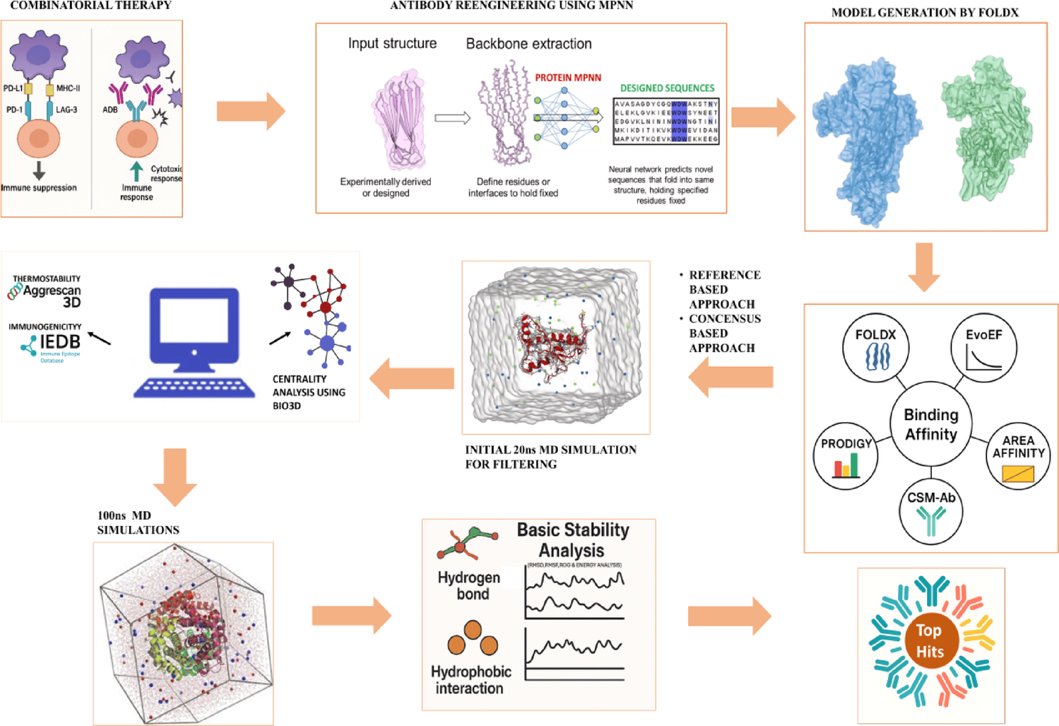 Deep learning-guided rational engineering of synergistic PD-1 and LAG-3 blockade for enhanced tumor immunomodulation