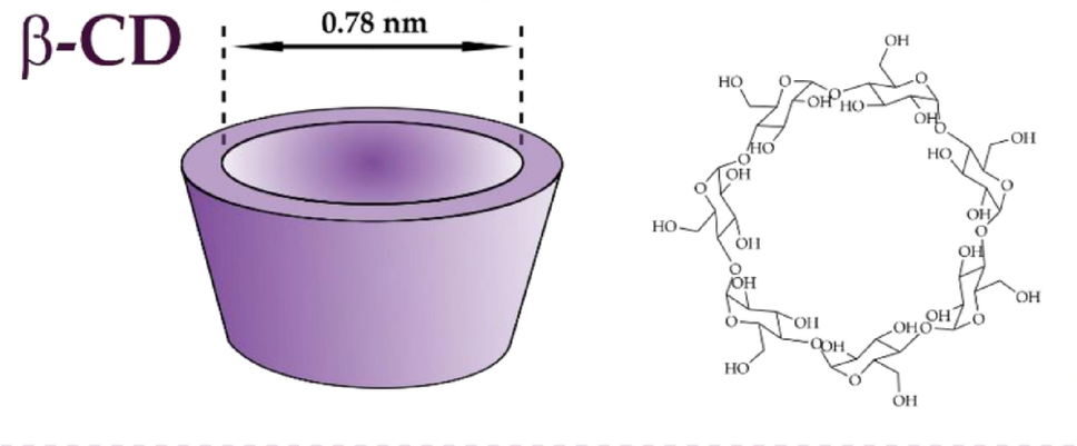 Conformational landscape of β-cyclodextrin: a computational resource for host–guest modeling in supramolecular systems