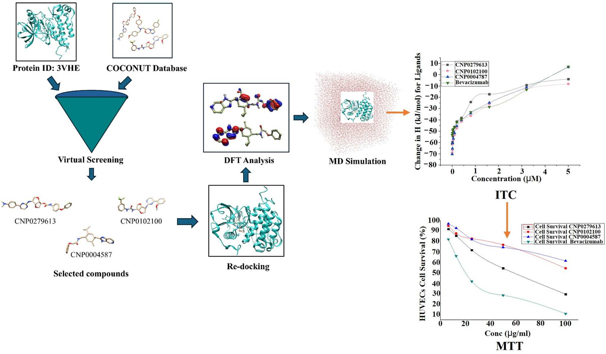 Discovery and validation of pyrrolopyrimidine-based VEGFR2 inhibitors targeting tumor angiogenesis via structure-based virtual screening, quantum chemical analysis, and in vitro assays