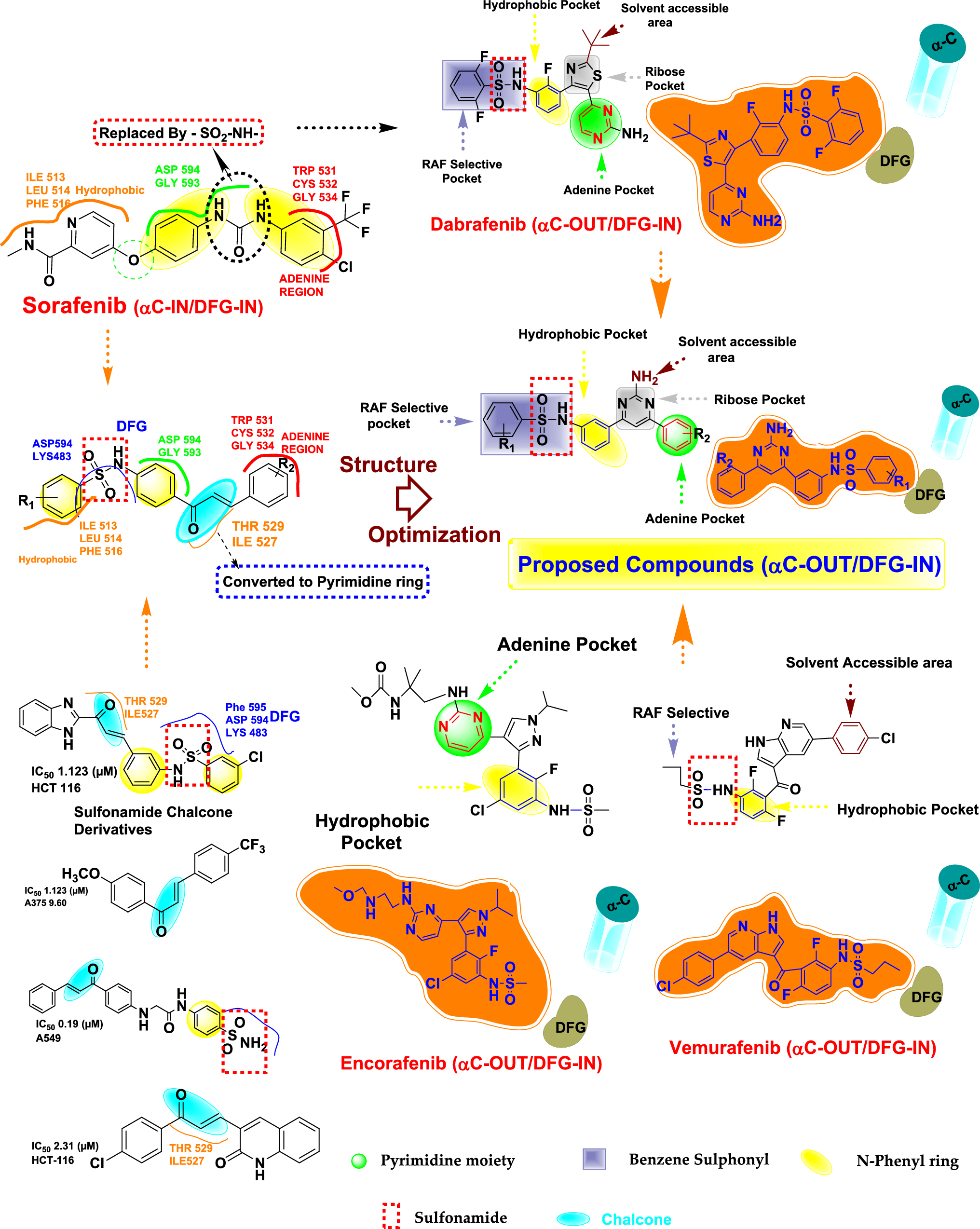 Pyrimidin-4-bromobenzenesulfonamide/-4-nitrobenzenesulfonamide hybrids as potential BRAF inhibitors: experimental, computational and biological evaluations