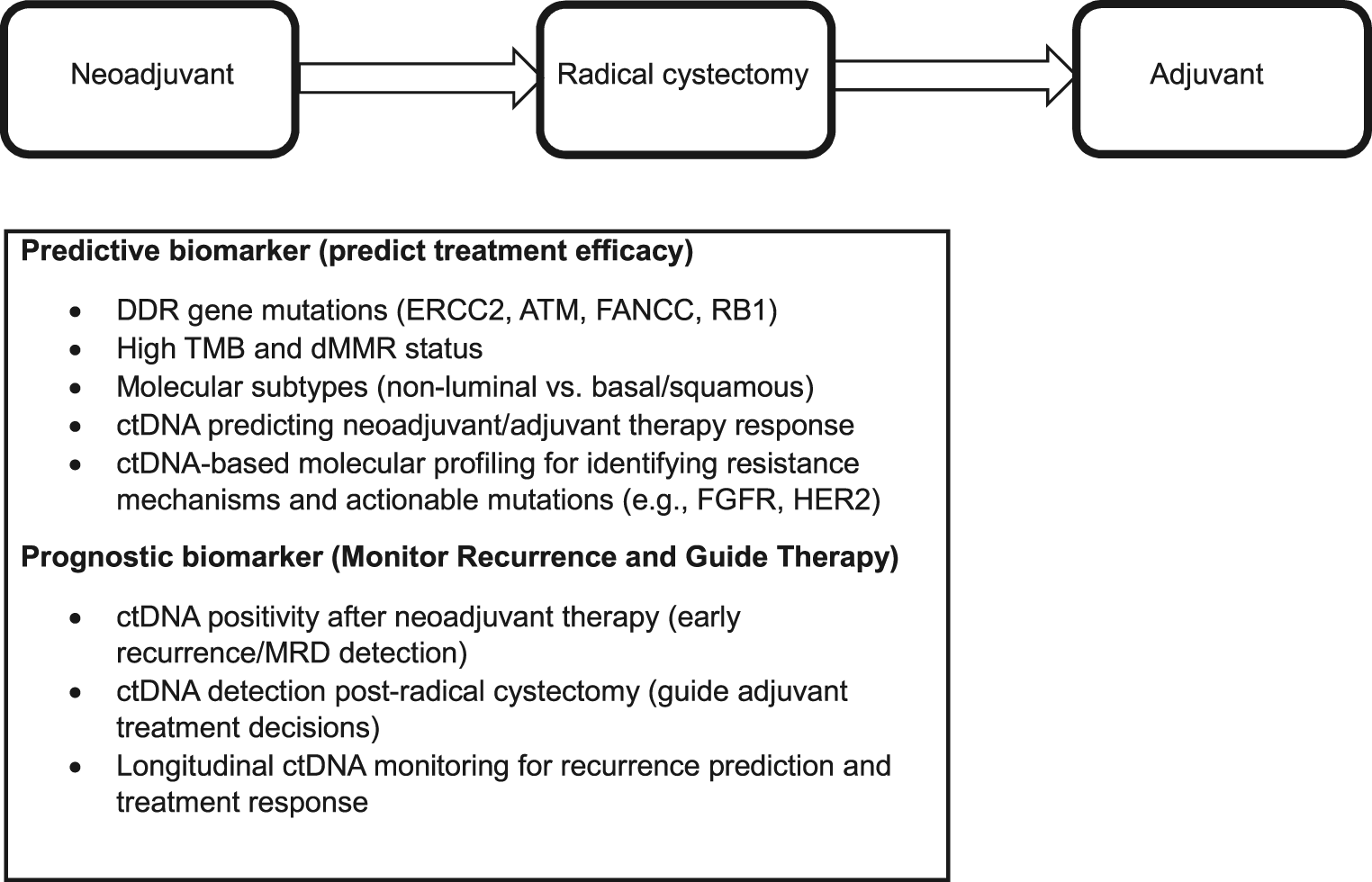 Advancing Bladder Cancer Management: The Role of Neoadjuvant and Adjuvant Therapies and Biomarkers in Muscle Invasive Bladder Cancer