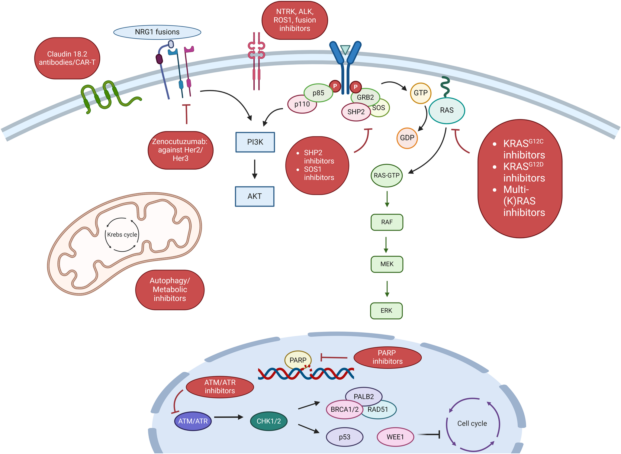 Emerging Therapeutic Approaches to Pancreatic Adenocarcinoma: Advances and Future Directions