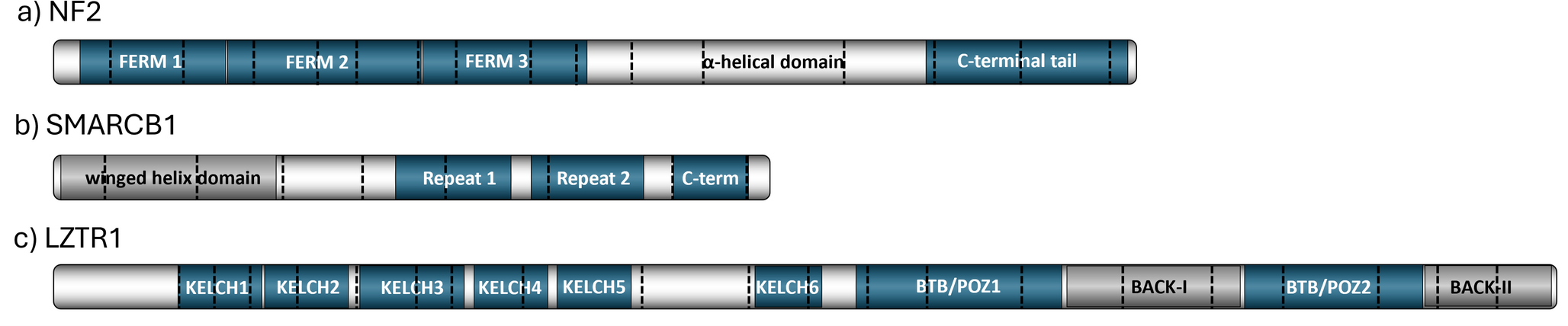 Molecular pathogenesis of the schwannomatosis genes and genetic testing strategies
