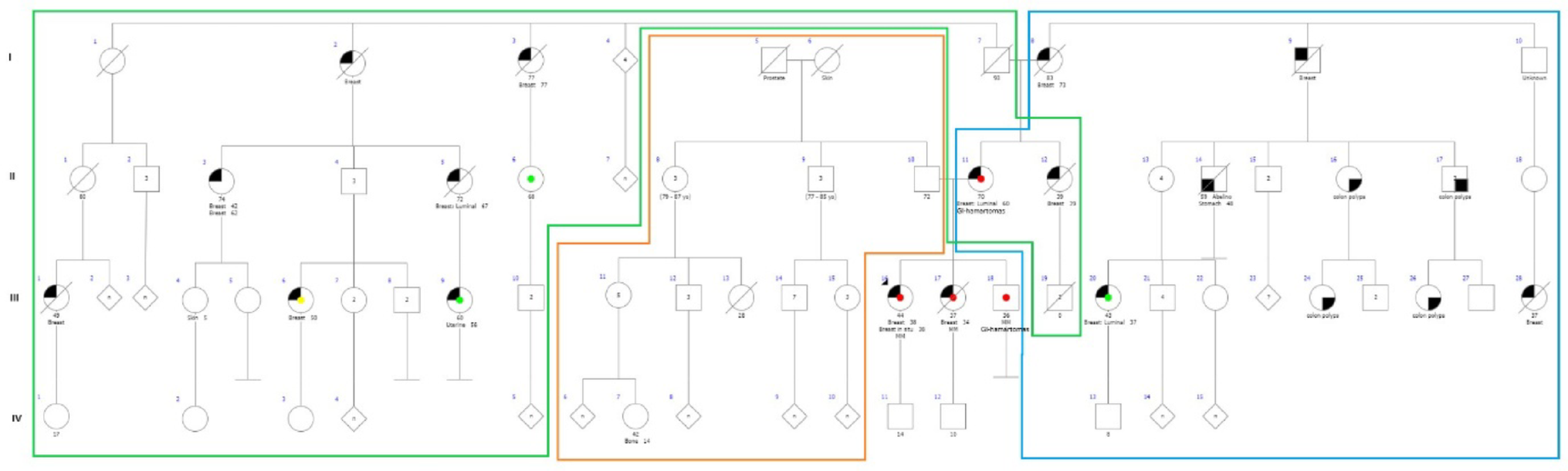 Reclassification of an uncertain  germline variant as likely pathogenic: a family study