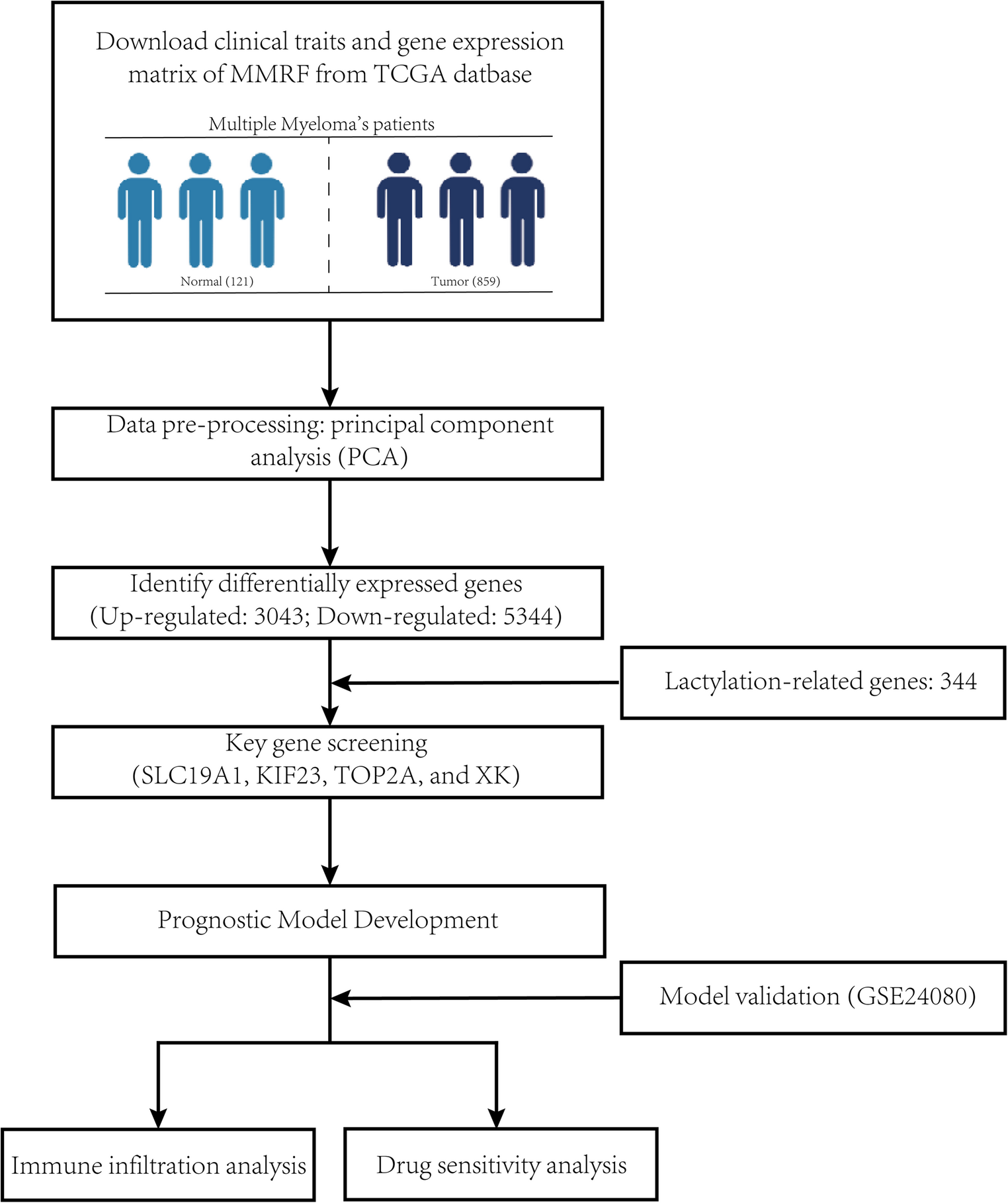 Lactylation-related multigene signature in multiple myeloma: integrated prognostic stratification, immune landscape profiling, and therapeutic guidance