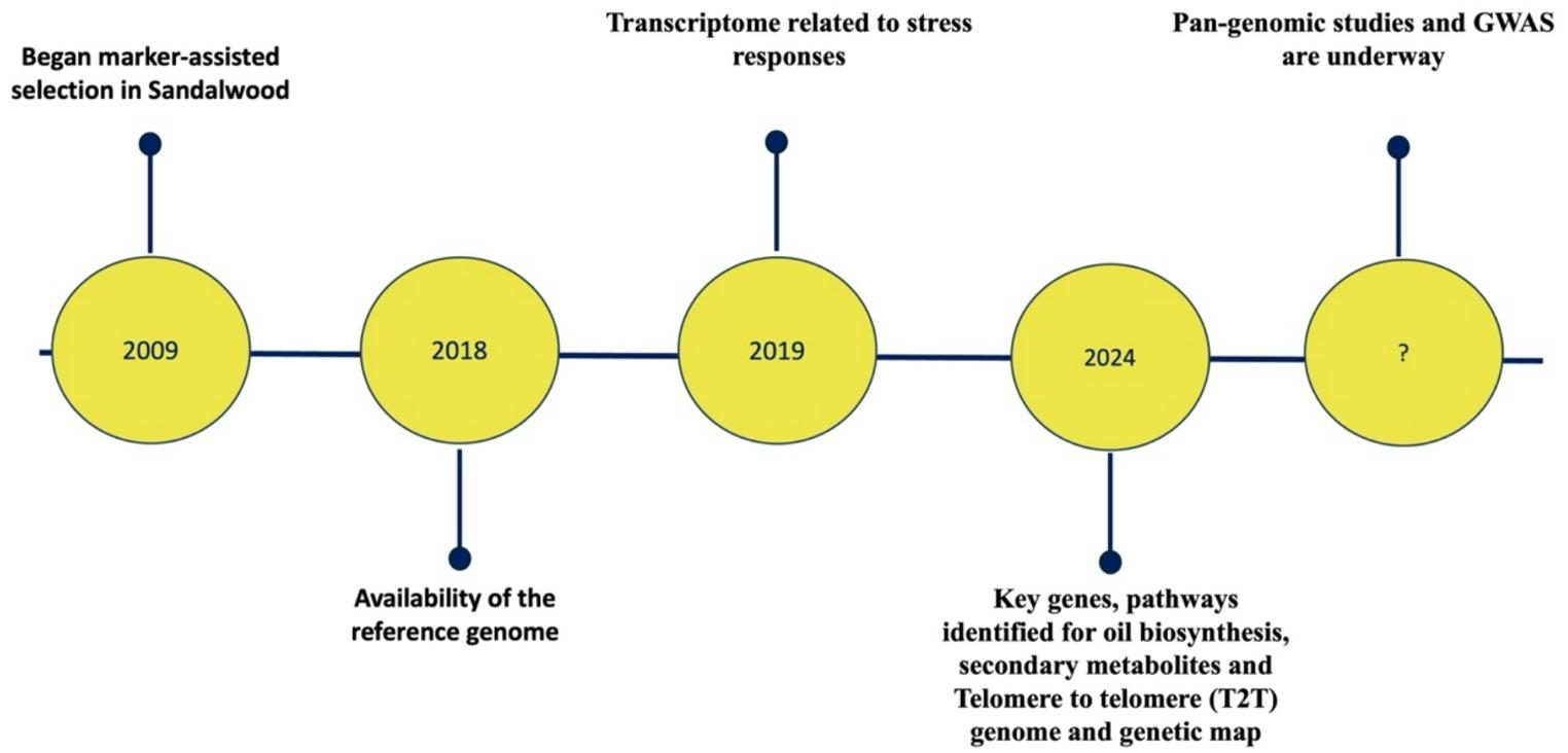 Genetic and genomic resources of : past achievements and future prospects