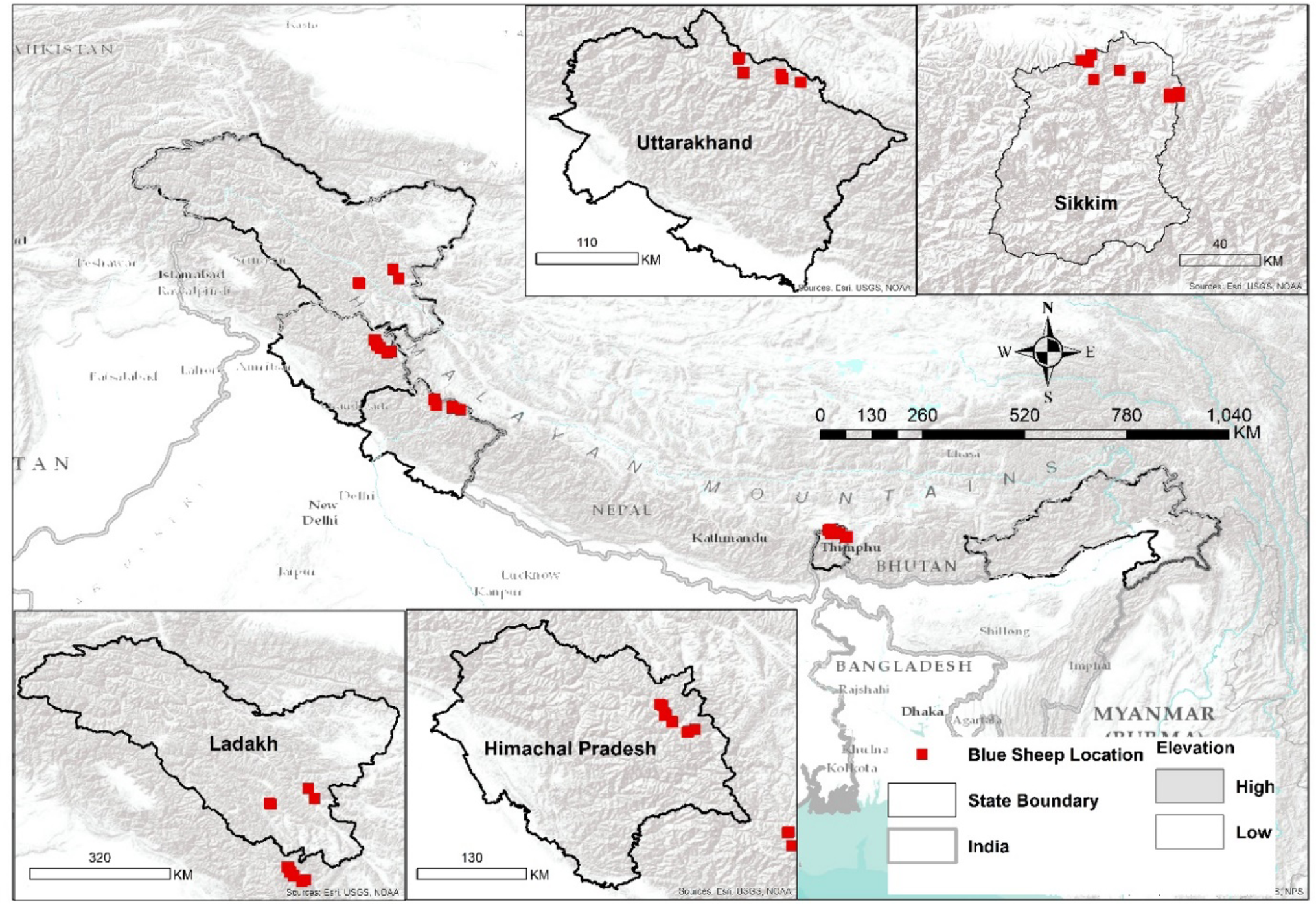 Unveiling genetic variation among Bharal () in the Indian Himalayas using nuclear markers