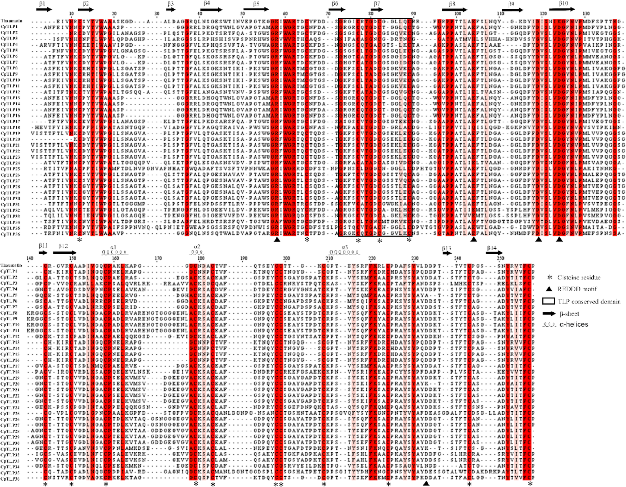 Structural and transcriptional characterization of Thaumatin-Like Proteins in  under salt stress