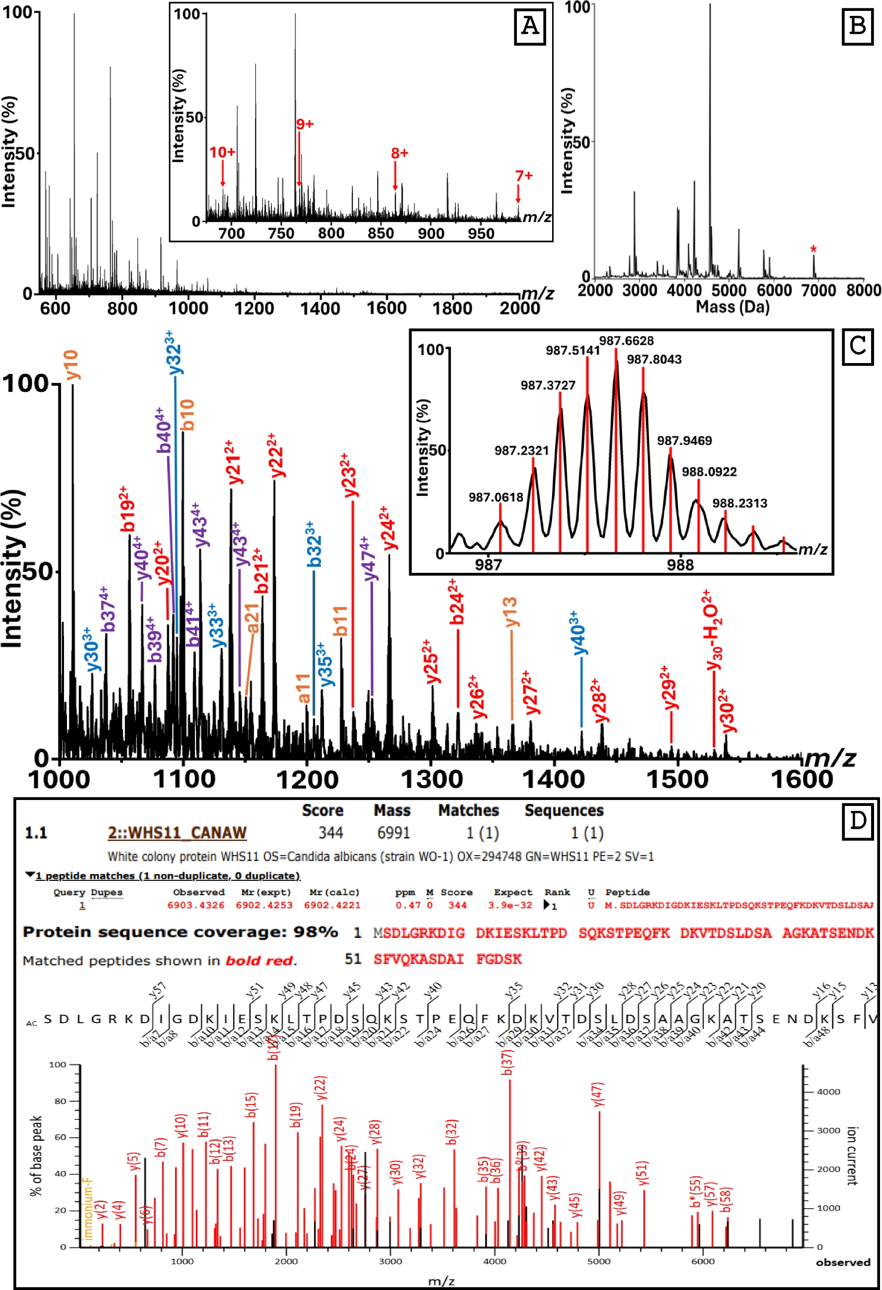 Correction to: Speciation analysis of fungi by liquid atmospheric pressure MALDI mass spectrometry