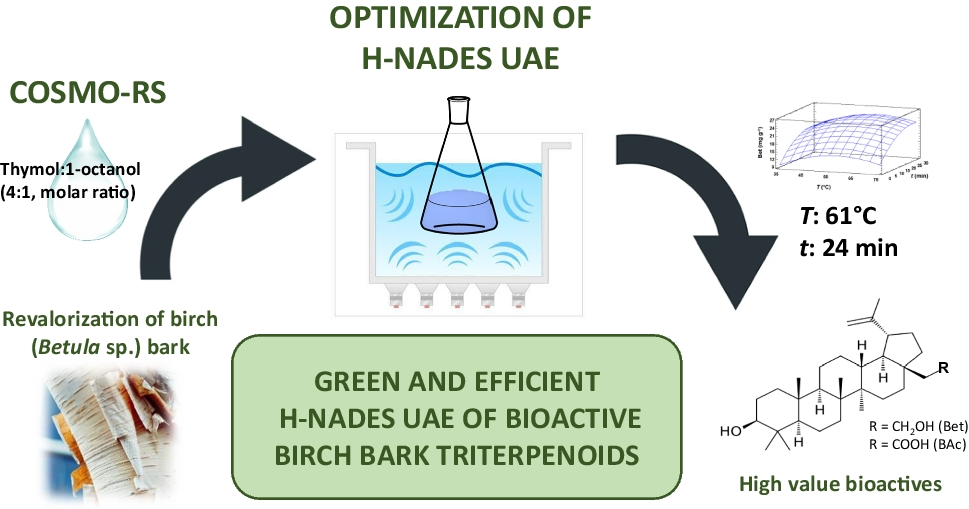 Ultrasound-assisted extraction of bioactive birch ( sp.) bark triterpenoids using hydrophobic natural deep eutectic solvents