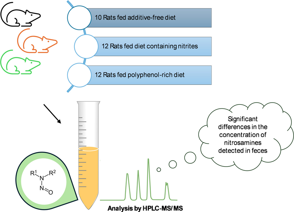The development of an analytical method to evaluate the nitrosamine profile in cooked ham with different preservatives and in rat feces fed with them