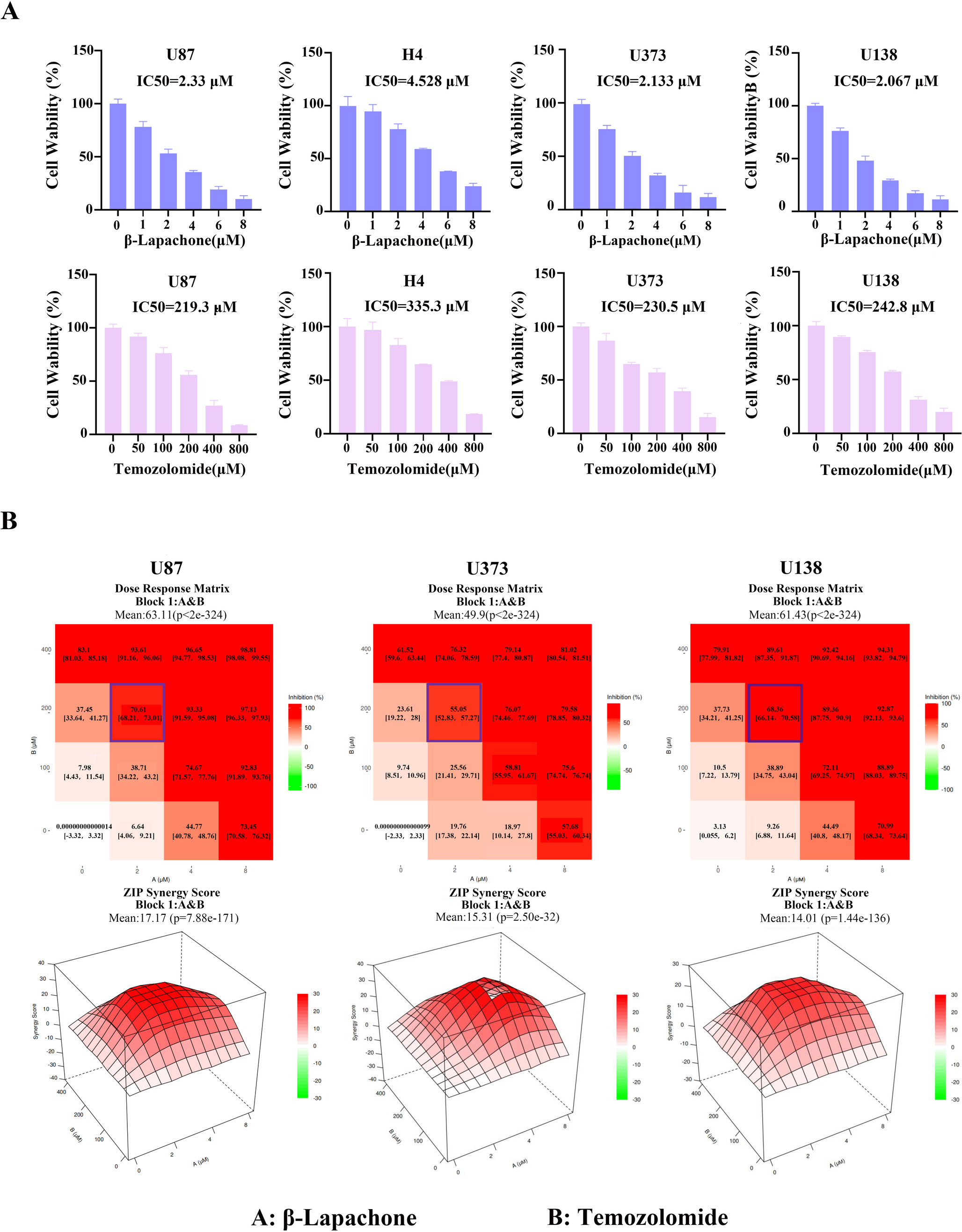 β-Lapachone sensitizes glioblastoma to Temozolomide by inhibiting NF-κB signaling