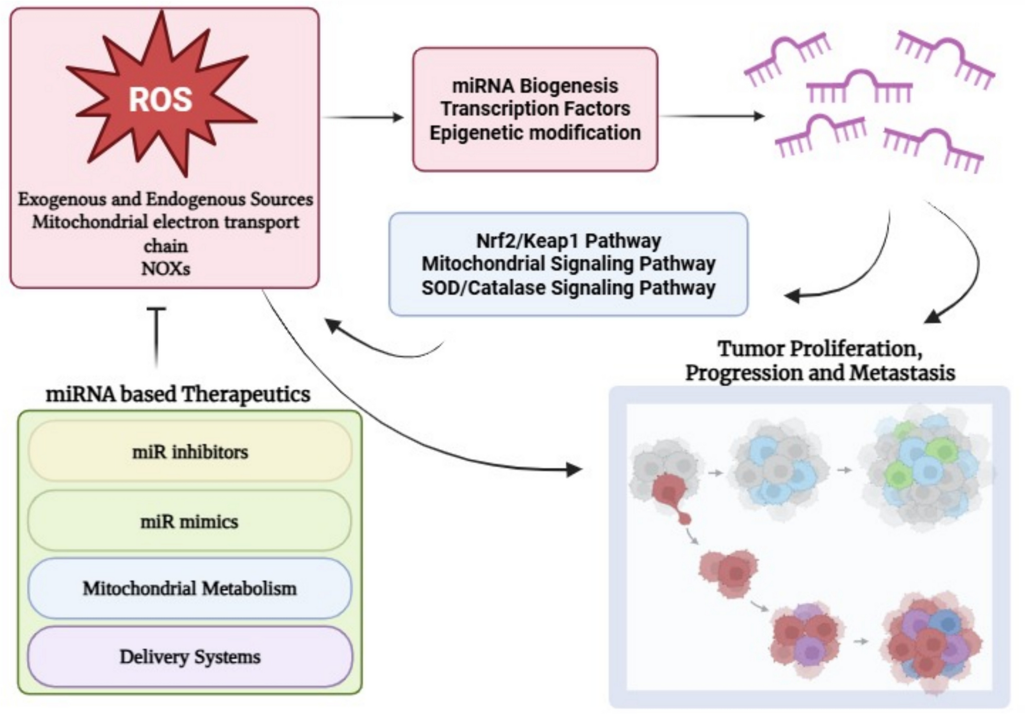 Crosstalk between miRNAs and oxidative stress: implications for cancer pathogenesis and therapy