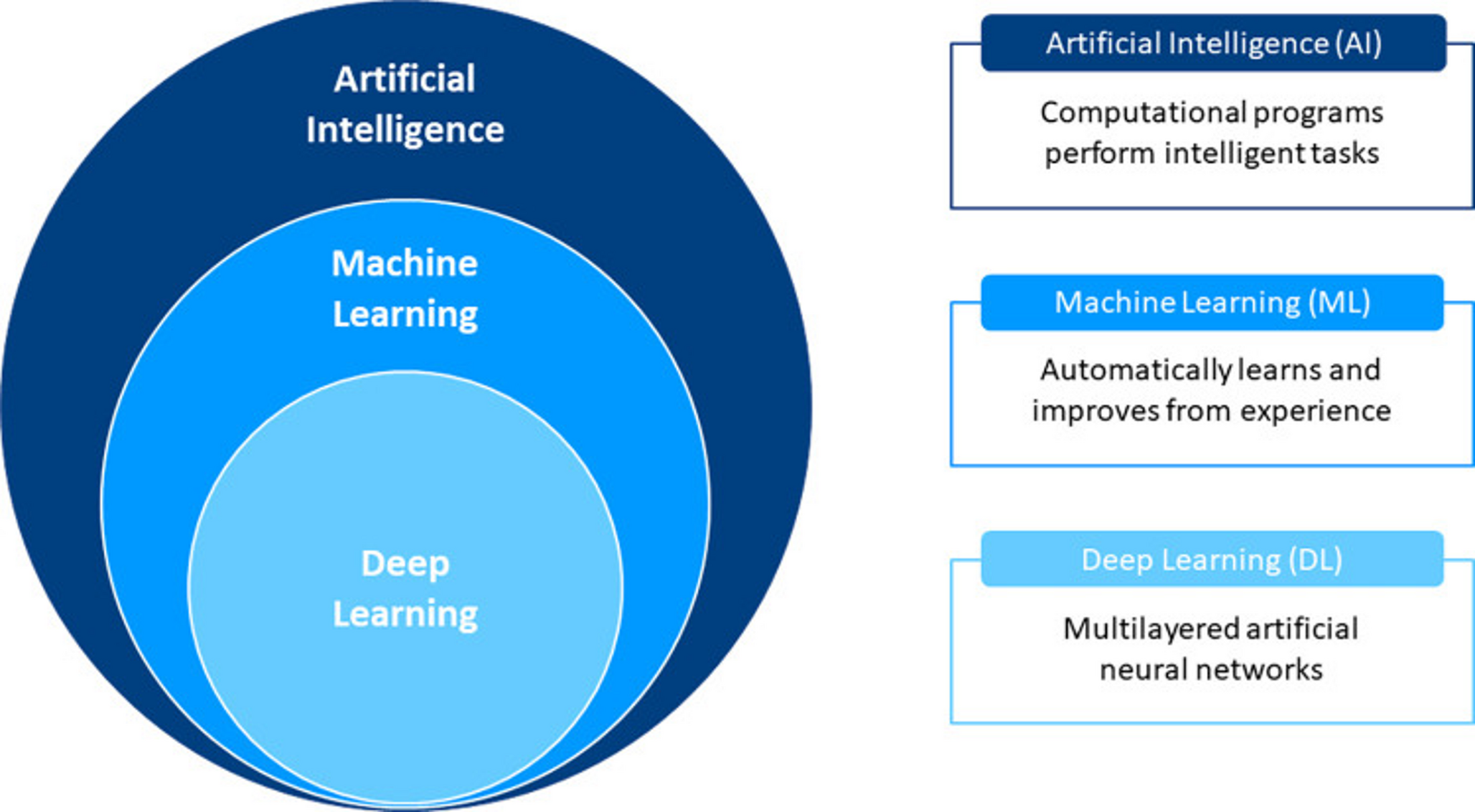 The Role of Artificial Intelligence in Cardio-Oncology