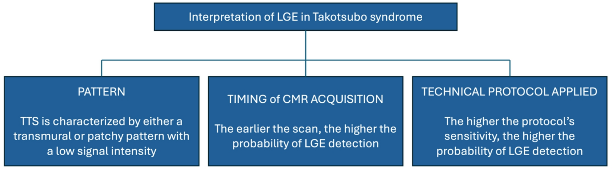 Interpretation of Cardiac Magnetic Resonance Post-Contrast Sequences and Late Gadolinium Enhancement in Takotsubo Syndrome