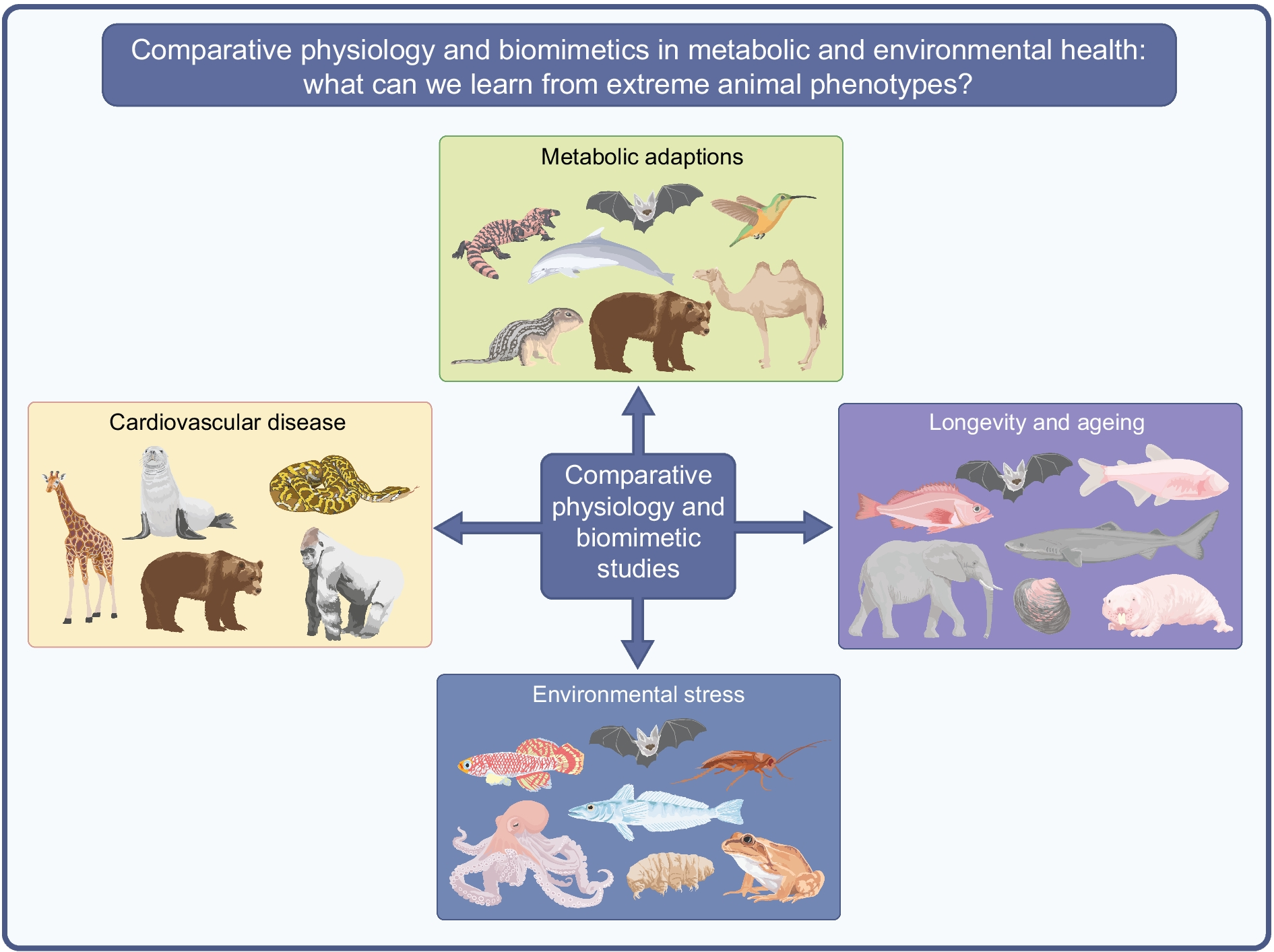Comparative physiology and biomimetics in metabolic and environmental health: what can we learn from extreme animal phenotypes?