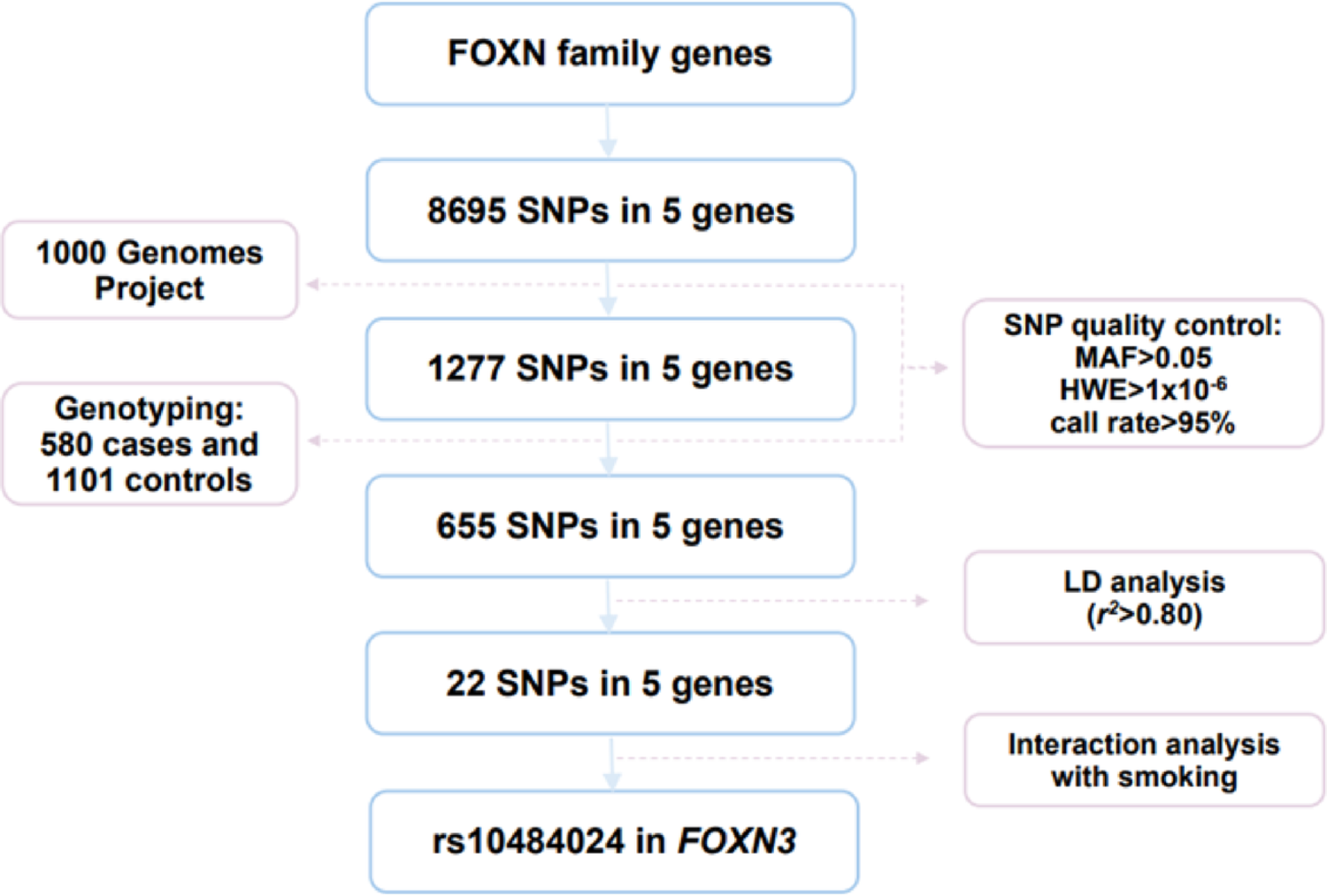 Cigarette smoking combines with genetic variants to regulate FOXN3 and associate with bladder cancer risk