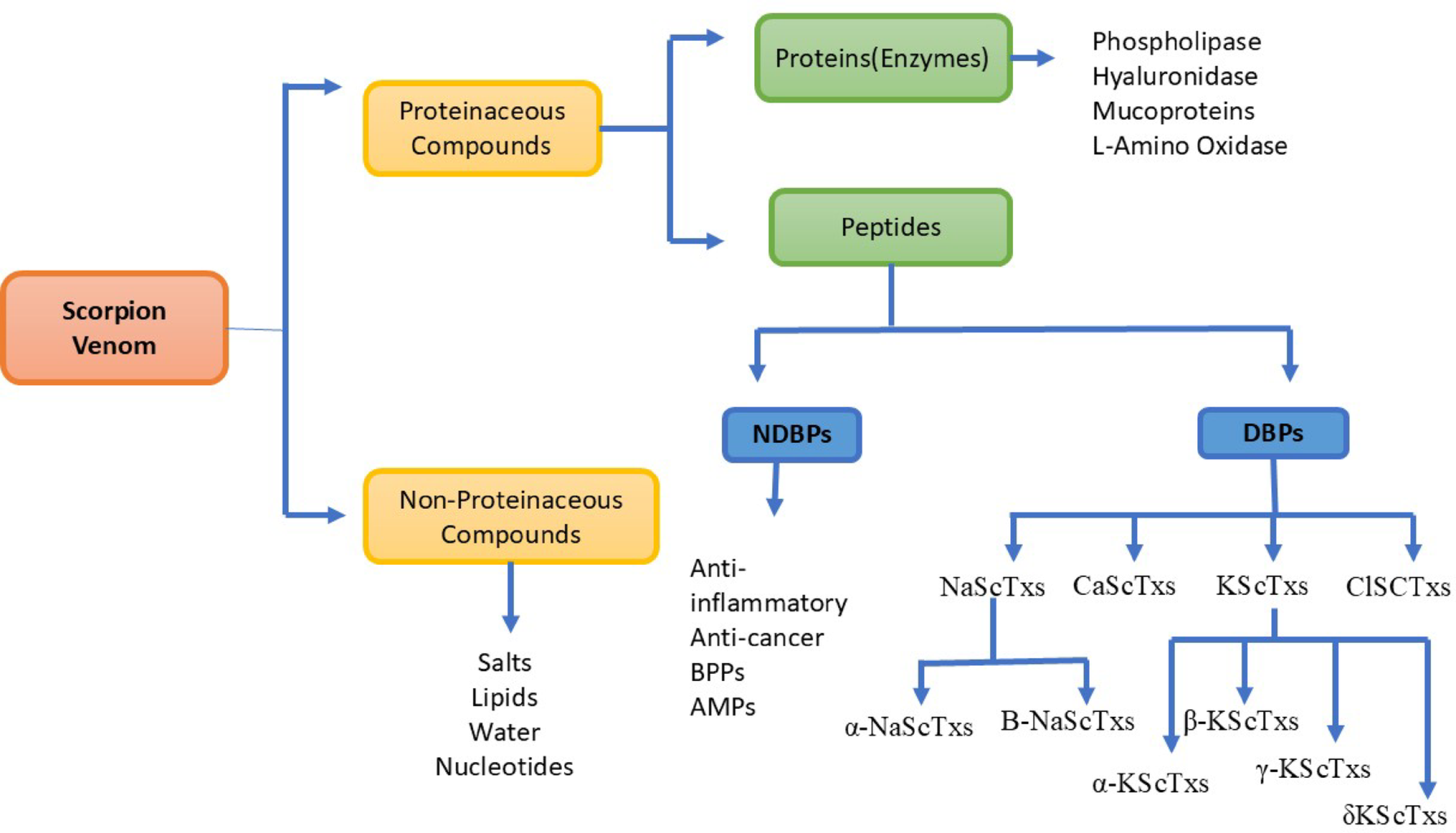 Scorpion venom as a molecular treasure: emerging bioactive compounds and translational therapeutic insights