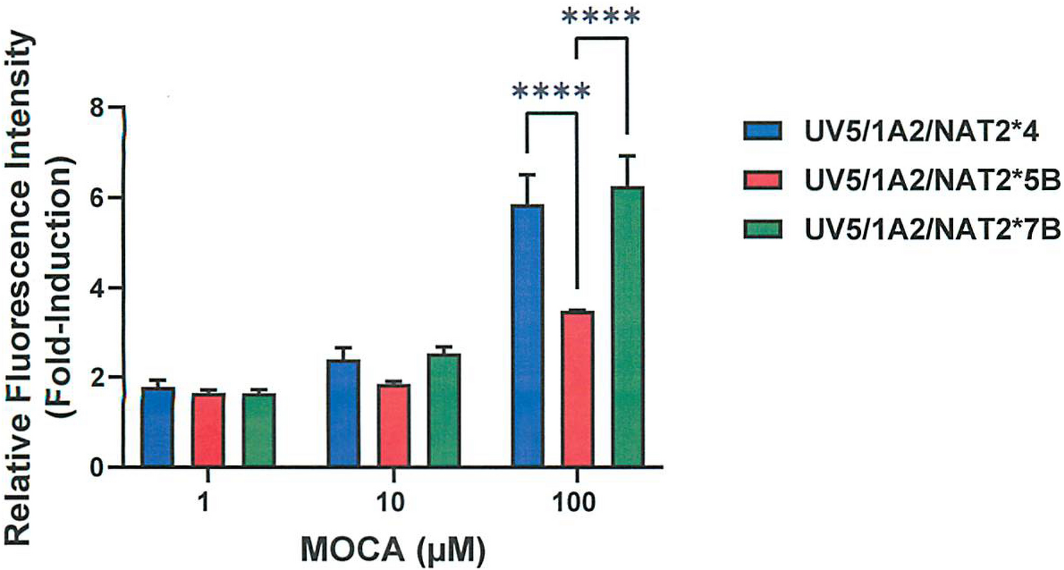 Correction: Effect of ‑acetyltransferase 2 genetic polymorphism on 4,4′‑methylenebis(2‑chloroaniline)‑induced genotoxicity and oxidative stress