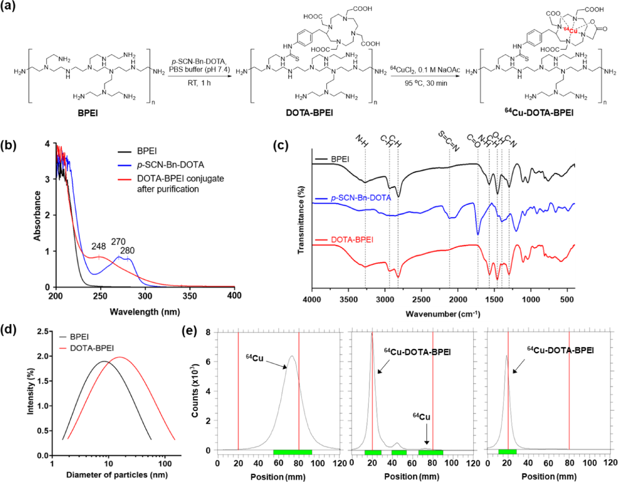 Biodistribution and pulmonary toxicity of branched polyethyleneimine in rats following intratracheal and intravenous exposure