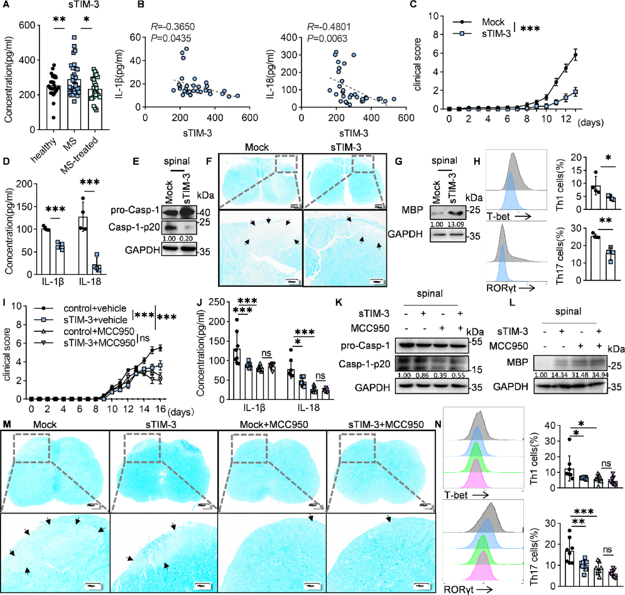 Novel insights into the effect of sTIM-3 on NLRP3 inflammasome via interacting with ASC