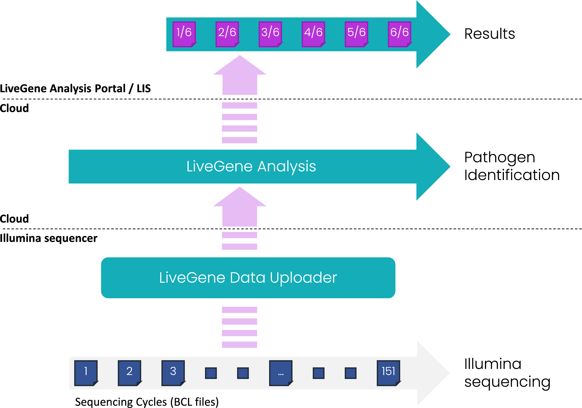 Evaluating Seqstant LiveGene Analysis in real-time assessment of metagenomic next-generation sequencing (mNGS) data from respiratory samples