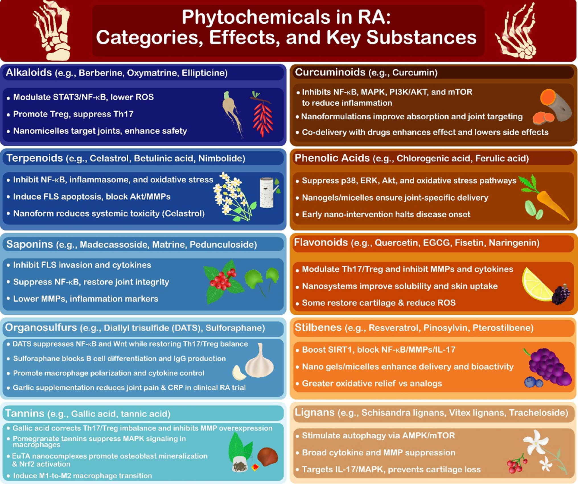Phytochemicals and nanoformulation strategies for rheumatoid arthritis: mechanistic insights, therapeutic advances, and translational challenges