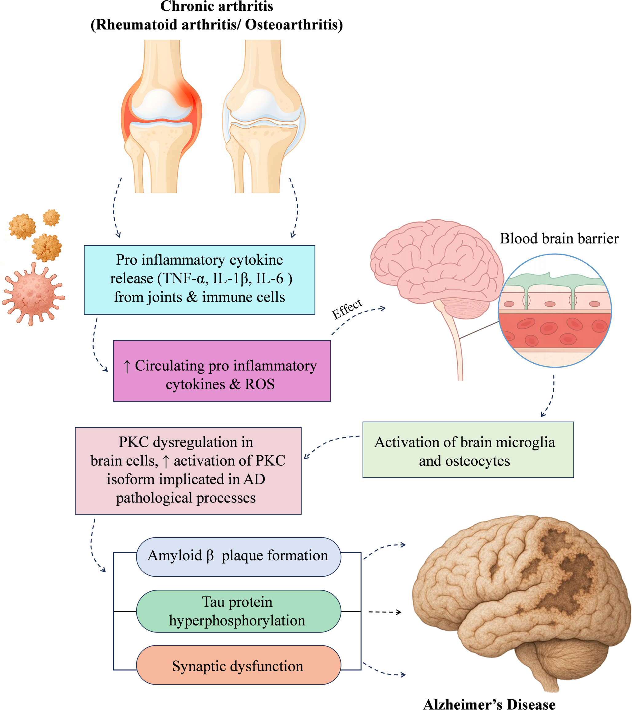 Targeting protein kinase C signaling cascades in alzheimer’s disease: emerging neuroprotective roles of aurothioglucose