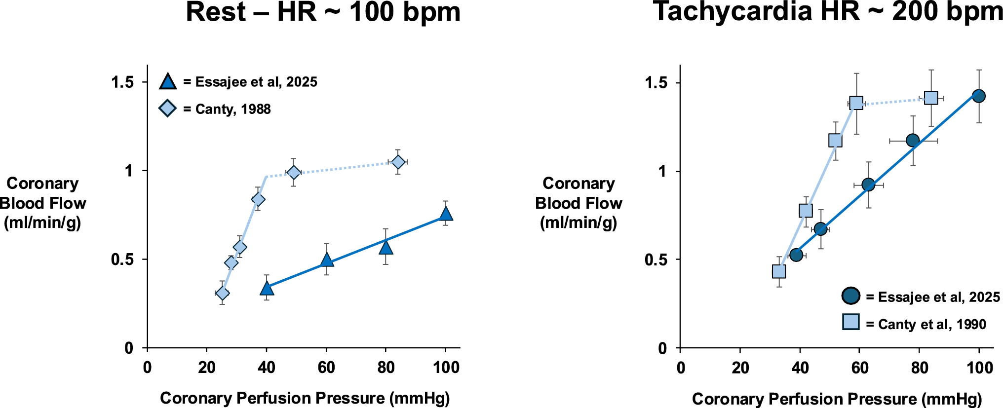 Coronary microvascular dysfunction is a determinant of perfusion–contraction matching during ischemia