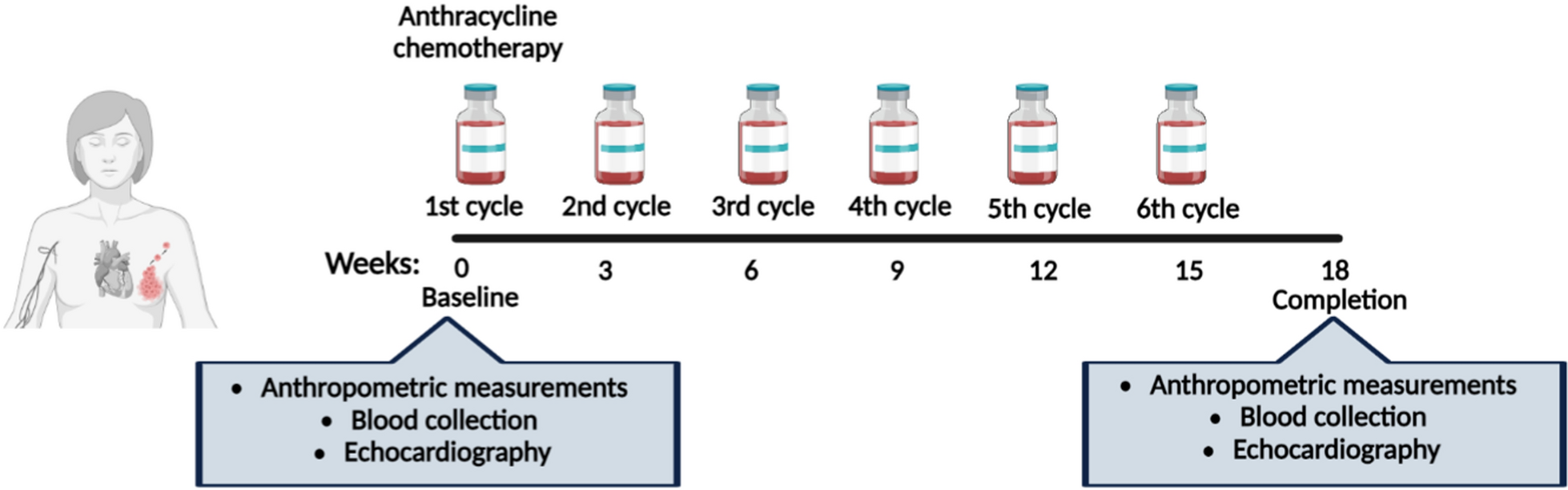 Dysfunctional high-density lipoprotein particles are associated with cardiac alterations in cancer patients and tumor-bearing mice receiving doxorubicin