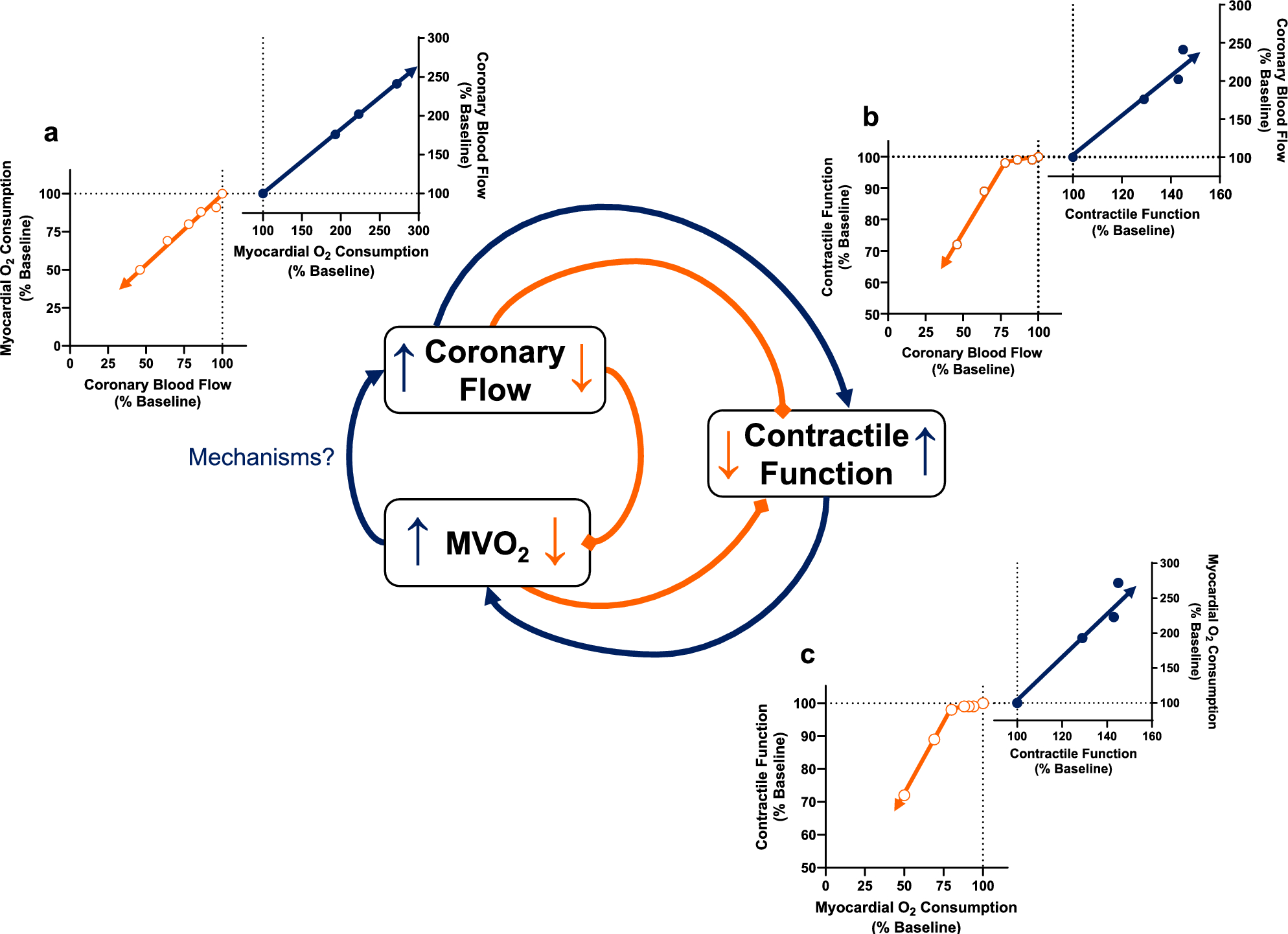 Impairment of local metabolic coronary control involves perfusion-contraction matching not supply–demand imbalance