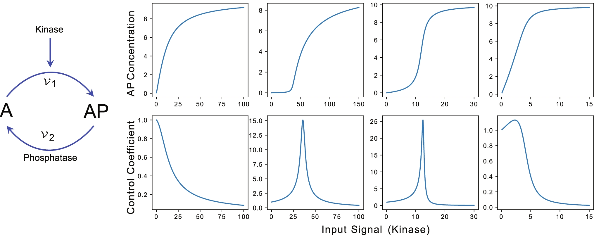 Dynamics and Sensitivity of Signaling Pathways