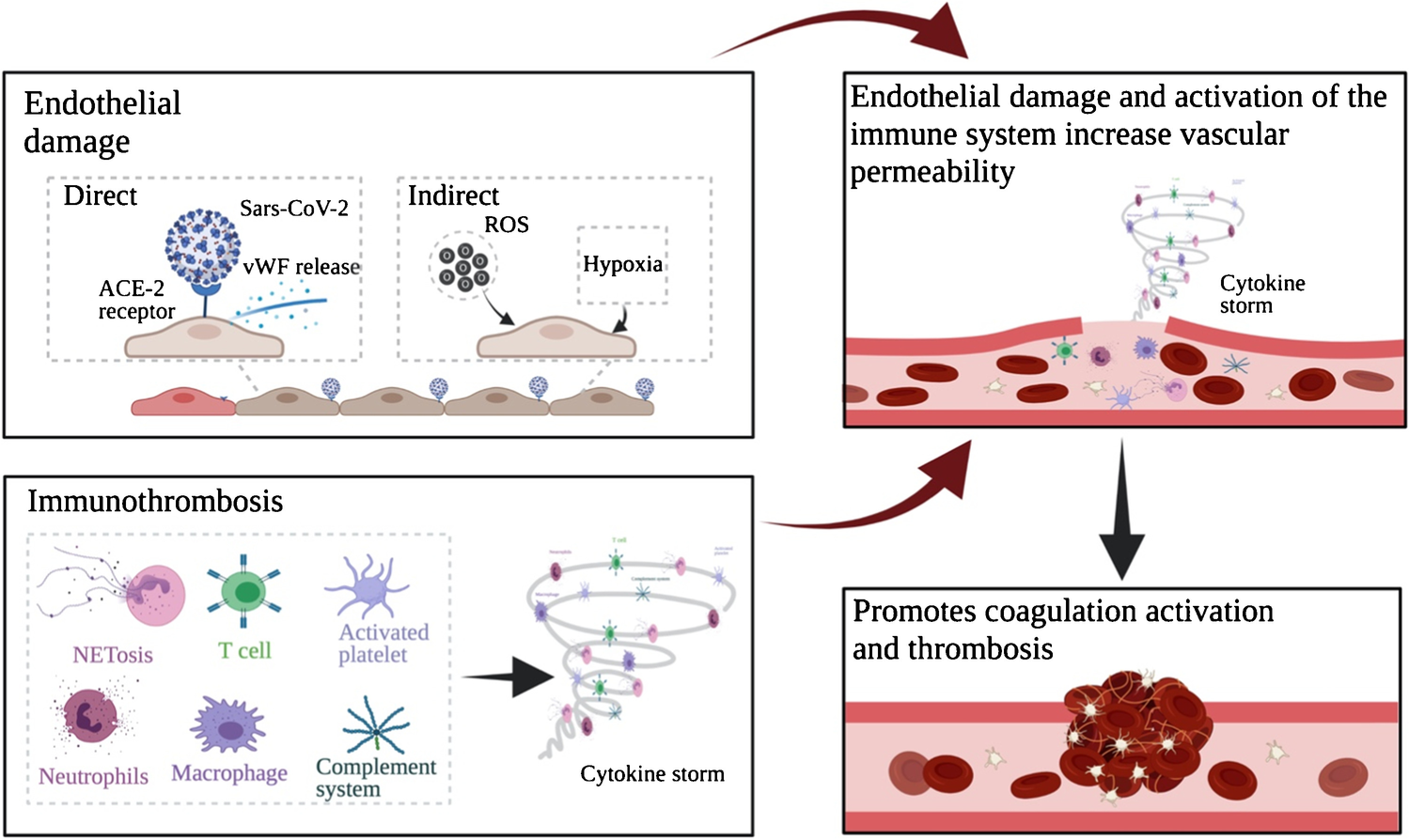 The Pathobiological Basis for Thrombotic Complications in COVID-19: a Review of the Literature